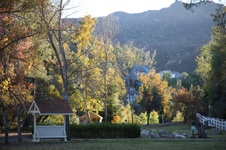 Enlarge photo 70