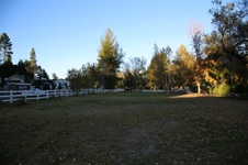 Enlarge photo 72