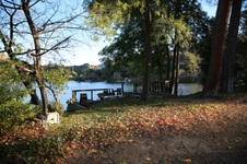 Enlarge photo 73