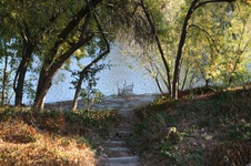 Enlarge photo 75