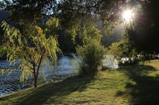 Enlarge photo 78