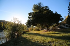 Enlarge photo 79