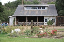 Enlarge photo 11