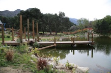 Enlarge photo 14
