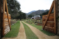Enlarge photo 17
