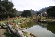 Enlarge photo 20