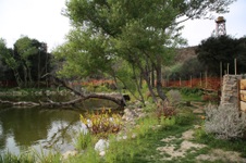 Enlarge photo 21