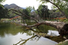 Enlarge photo 22
