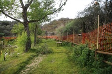 Enlarge photo 23