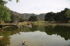 Enlarge photo 24