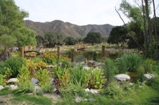 Enlarge photo 25