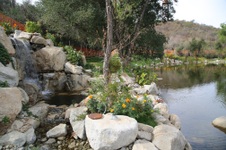 Enlarge photo 29
