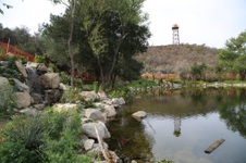 Enlarge photo 30