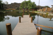 Enlarge photo 34