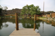 Enlarge photo 35