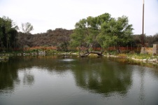 Enlarge photo 36