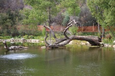 Enlarge photo 37