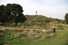 Enlarge photo 71