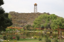 Enlarge photo 72