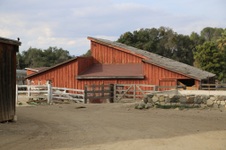 Enlarge photo 91
