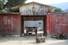 Enlarge photo 99