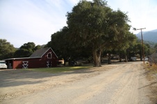 Enlarge photo 114