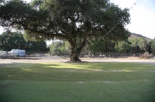 Enlarge photo 119