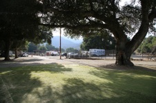 Enlarge photo 124
