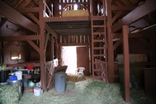 Enlarge photo 129