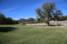 Enlarge photo 212