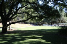 Enlarge photo 294