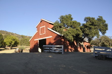 Ventura Farms