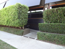 Enlarge photo 31