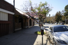 Enlarge photo 16