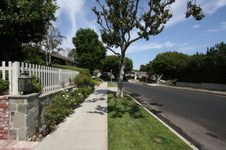 Enlarge photo 34