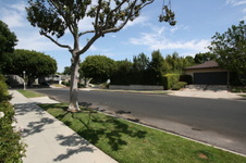 Enlarge photo 33