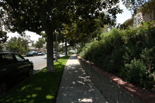 Enlarge photo 37