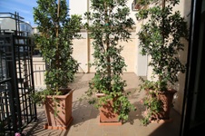 Enlarge photo 17
