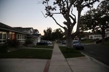 Enlarge photo 47
