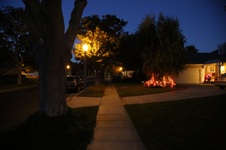 Enlarge photo 66