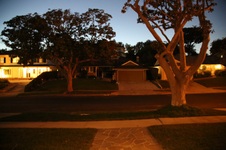 Enlarge photo 77