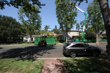 Enlarge photo 4