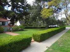 Enlarge photo 14
