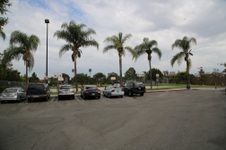 Pan Pacific Park