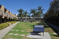Enlarge photo 30