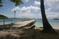 Enlarge photo 33
