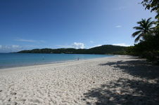 Enlarge photo 48