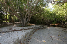 Enlarge photo 54
