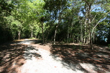 Enlarge photo 55