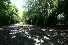 Enlarge photo 56